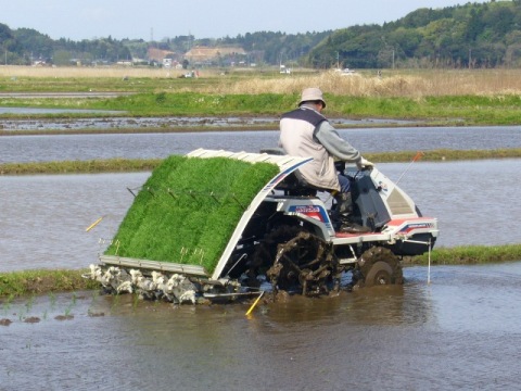 A farmer plants rice using a rice-planting-machine in the city of Katori, Chiba Prefecture. (© katorisi)